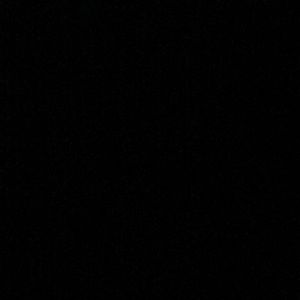 Meet your Posher, Casie